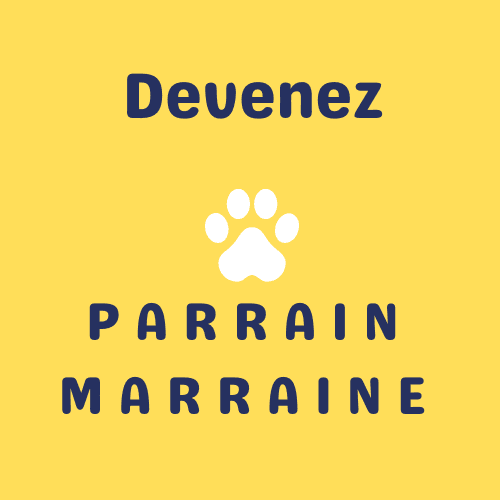 parrain