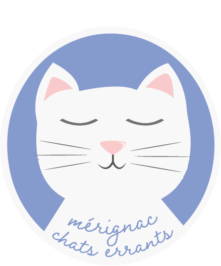 Mérignac Chats Errants